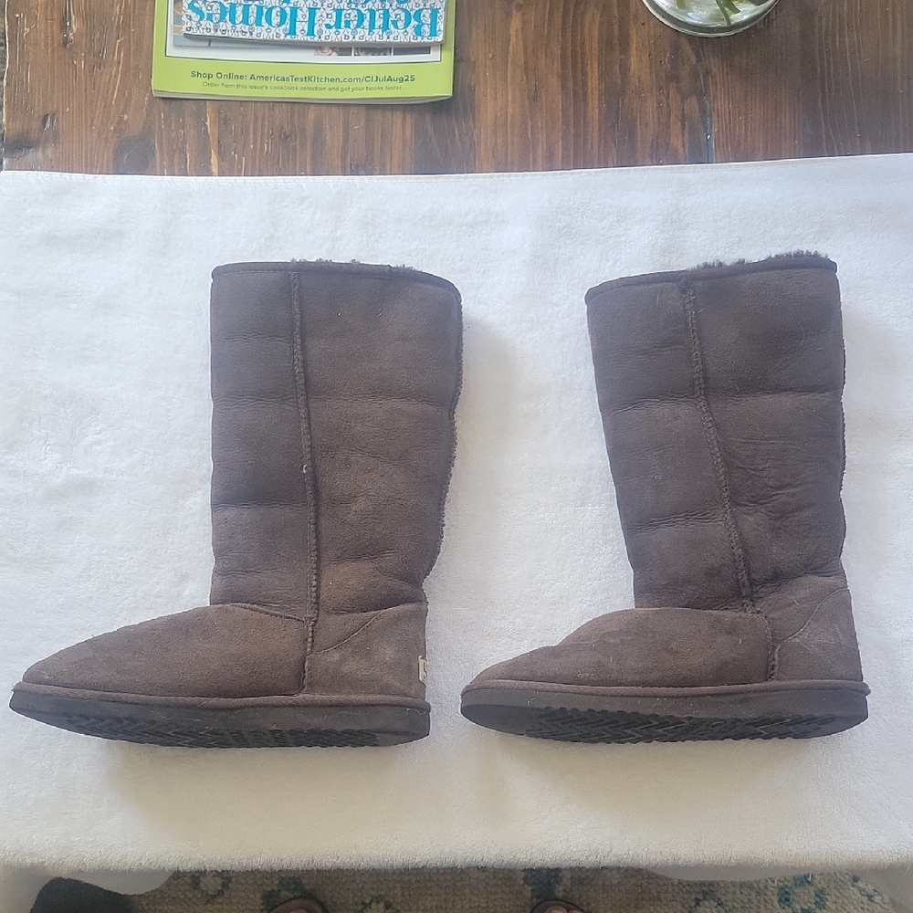 Ugg Brown Winter Boots - image 1